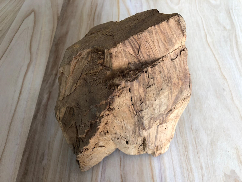Tronco palo santo